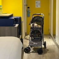 โคซี่บาร์