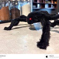 Y'EST WORKS Coffee Lab Coffee Lab