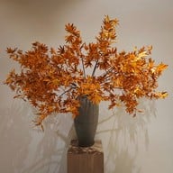 บรรยากาศ Sushi Ichizu