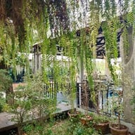 ตำกระเทย กาฬสินธุ์