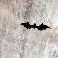 Y'EST WORKS Coffee Lab Coffee Lab