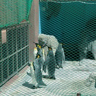 Noboribetsu Marine Park Nixe