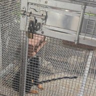 บรรยากาศ เจริญเส้น 查龙森 เตี๋ยวต้มยำหมู