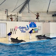 Noboribetsu Marine Park Nixe