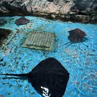 Noboribetsu Marine Park Nixe