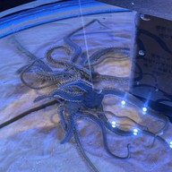 Noboribetsu Marine Park Nixe