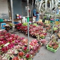 บรรยากาศ ตลาดจตุจักร