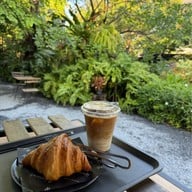 Rhapsody speed & slow Rhapsody speed & slow