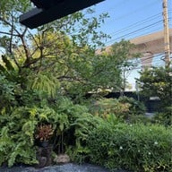 Rhapsody speed & slow Rhapsody speed & slow