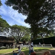 The Scenery Vintage Farm