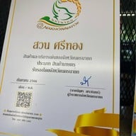 สวนศรีทอง มะยงชิดคาเฟ่ เขาใหญ่ นครนายก