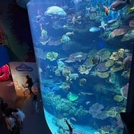 บรรยากาศ Sea Life Bangkok Ocean World