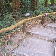 บรรยากาศ อุทยานแห่งชาติดอยอินทนนท์