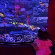 บรรยากาศ Sea Life Bangkok Ocean World