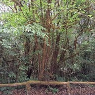 บรรยากาศ อุทยานแห่งชาติดอยอินทนนท์