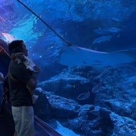 บรรยากาศ Sea Life Bangkok Ocean World