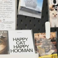 แมวเป็นของเหลว ขนม ชูครีม ชานม โกโก้ กาแฟ นมเผือก น้ำส้ม แมวเป็นของเหลว