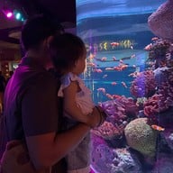 บรรยากาศ Sea Life Bangkok Ocean World