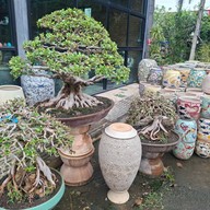 พิพิธภัณฑ์โอ่งเก่าราชบุรี