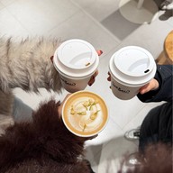 Seesaw Coffee Reel Mall