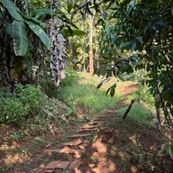 วัดนาคูหา