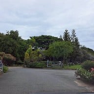 บรรยากาศ Tea Factory and more A La Campagne Pattaya