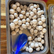 เตี๋ยวปั้นสด บางแสน บางแสน