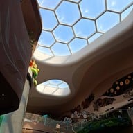 Gelateria Kitokki Paragon branch