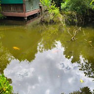 ก๋วยเตี๋ยวลับในสวน x ซัมแวร์ โฮมคาเฟ่ บางคูเวียง,บางกรวย,นนทบุรี