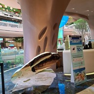 Gelateria Kitokki Paragon branch