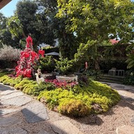 NANA Coffee Roaster Ari