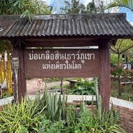 บ่อเกลือสินเธาว์