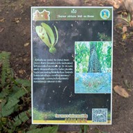 อุทยานแห่งชาติภูผาเทิบ