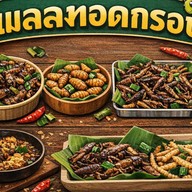 แมลงทอด