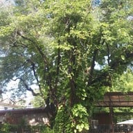 บรรยากาศ Early Owls