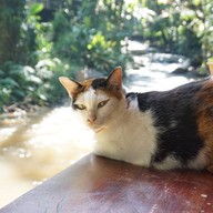 บรรยากาศ บ้านธารชีวี