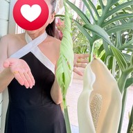 บ้านสุริยน