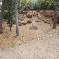 อุทยานประวัติศาสตร์กำแพงเพชร