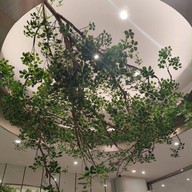 Café Amazon - SC4815 Central West Ville