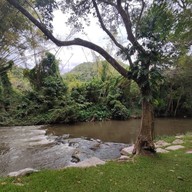 แคมป์ไฟ คาเฟ่ เขาใหญ่