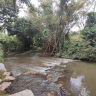 แคมป์ไฟ คาเฟ่ เขาใหญ่