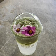 Shelter Specialty Coffee มหาวิทยาลัยรังสิต