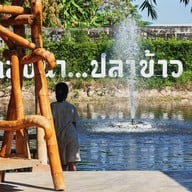 บรรยากาศ คลังนาปลาข้าว ชลบุรี