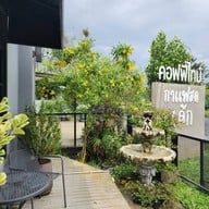 Coffee Time at Kohyor เกาะยอ