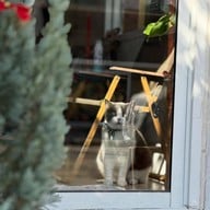 บรรยากาศ Purr-Cup Home Cafe Roaster