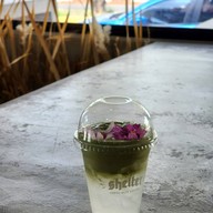 Shelter Specialty Coffee มหาวิทยาลัยรังสิต