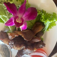 ชาวเขื่อน