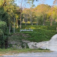 ไร่เมืองเกษม (ลานกางเต๊นท์)