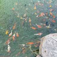 วัดศรีรัตนธรรมมาราม