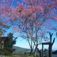 อุทยานแห่งชาติห้วยน้ำดัง